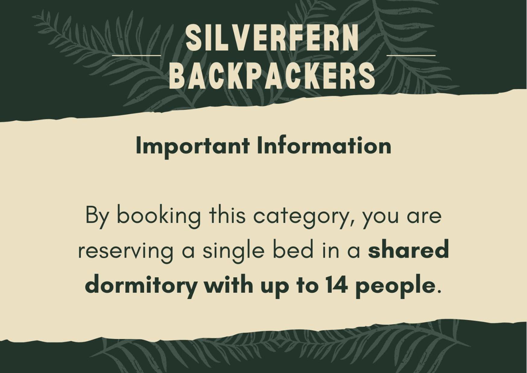 Silverfern Backpackers Auckland Bilik gambar
